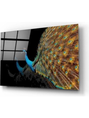 Tavuskuşu Cam Tablo