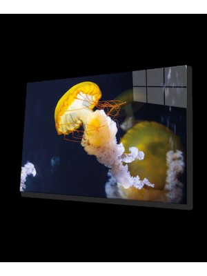 Sarı Denizanası Cam Tablo Yellow Jellyfish