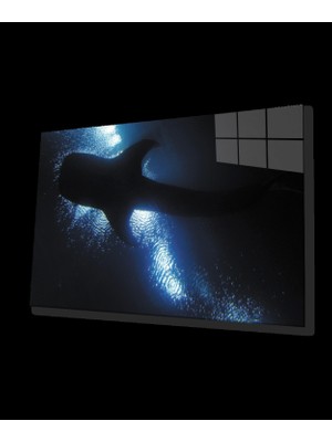 Miraaxx Balık Sualtı Cam Tablo