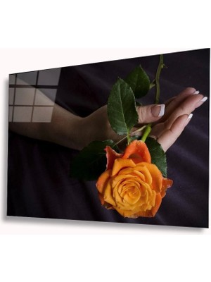 Miraaxx Gül Cam Tablo