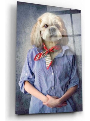 Köpek Cam Tablo