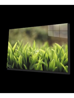 Yeşil Yapraklar Cam Tablo    Green Leaves