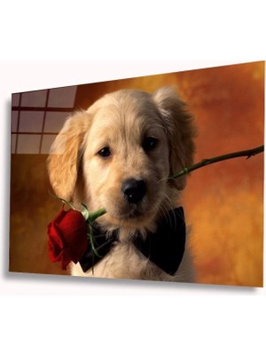 Köpek ve Gül Cam Tablo