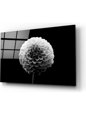 Karahindiba Cam Tablo