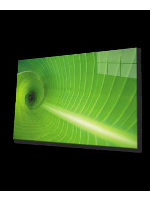 Yeşil Yaprak Green Leaf