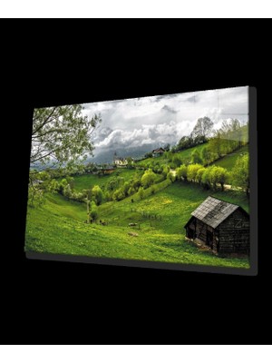 Doğa Manzara Yeşil Cam Tablo