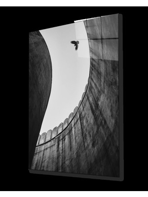 Siyah Beyaz Kartal Cam Tablo