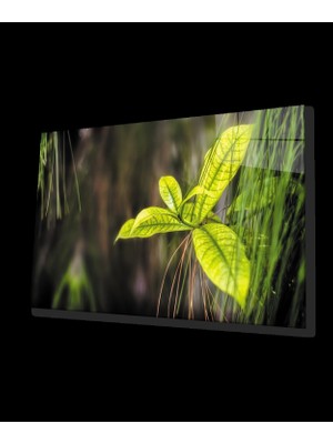 Yeşil Yapraklar Cam Tablo    Green Leaves