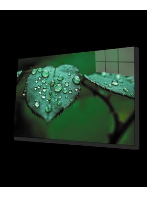 Su Damlaları Yaprak  Yeşil Cam Tablo