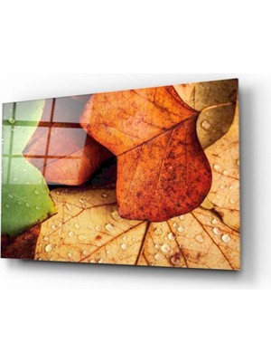 Yapraklar Cam Tablo