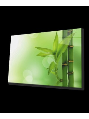 Yeşil Bitki Cam Tablo   Green Plant