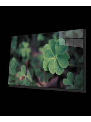 Yeşil Bitki Cam Tablo    Green Plant
