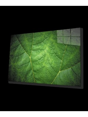 Yeşil Yaprak Cam Tablo    Green Eaf