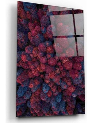 Miraaxx Ağaçlar Cam Tablo