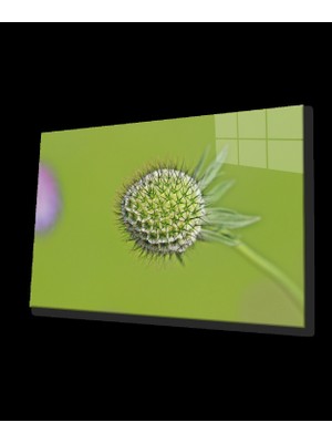 Miraaxx Yeşil Bitki Çiçek Cam Tablo