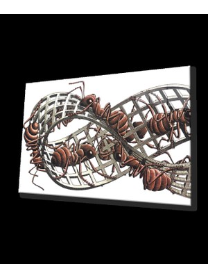 Miraaxx Tırmanan Karıncalar Tablo