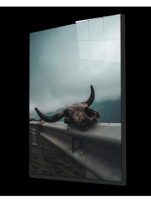 Miraaxx Boynuz Cam Tablo