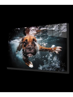Yüzen Köpek Cam Tablo