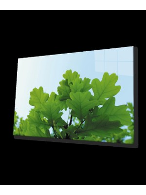Yeşil Yapraklar Green Leaves