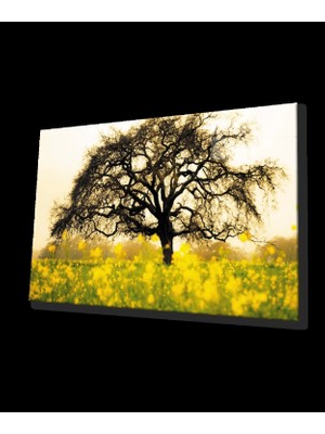 Sarı Çiçek  Ağaç Manzara Yeşil Cam Tablo