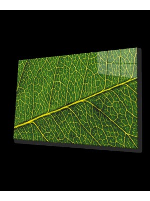 Sarı Yeşil Yaprak Cam Tablo    Yellow Green Leaf