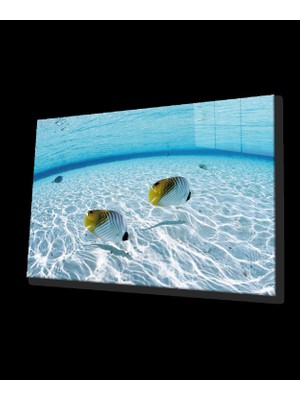 Balıklar Sualtı Cam Tablo