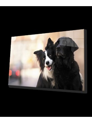Siyah Beyaz Köpek Cam Tablo