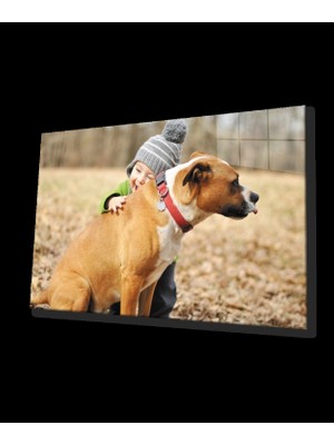 Köpek ve Çocuk Cam Tablo