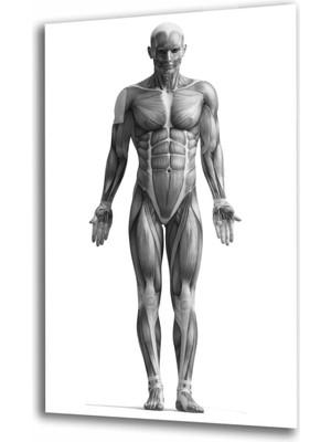 Spor Fıtnes Cam Tablo