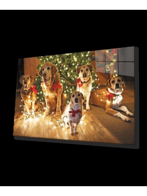 Noel  Ağacı Süslü Köpekler Cam Tablo