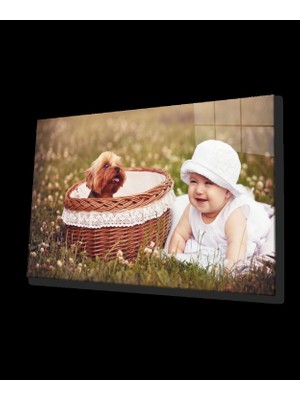 Bebek ve Köpek Cam Tablo