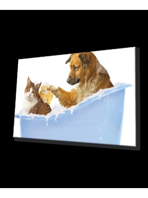 Kedi Köpek Cam Tablo