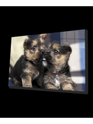 Köpekler Cam Tablo