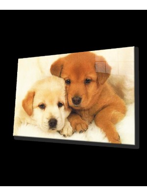 Köpekler Cam Tablo