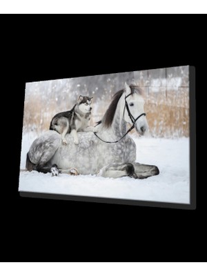 At  ve Köpek Cam Tablo