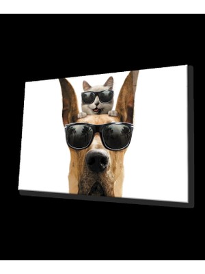 Gözlüklü Kedi ve Köpek Cam Tablo