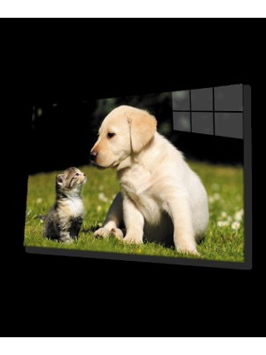 Kedi Köpek Cam Tablo