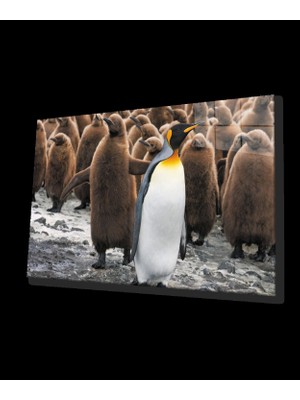 Penguenler Cam Tablo