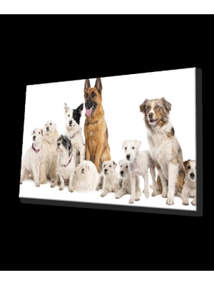 Köpekler Cam Tablo