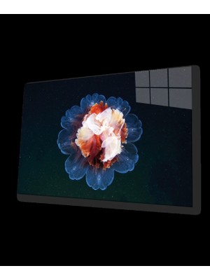 Sualt Canlılar Cam Tablo Marine Life