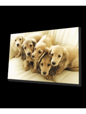 Köpekler Cam Tablo