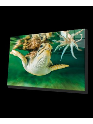 Sualtı Cam Tablo Marine Life