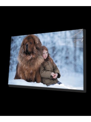 Çocuk ve Köpek Cam Tablo