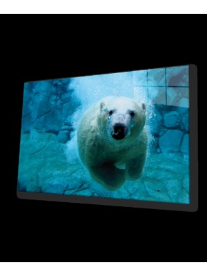 Beyaz Kutup Ayısı Cam Tablo Ice Bear