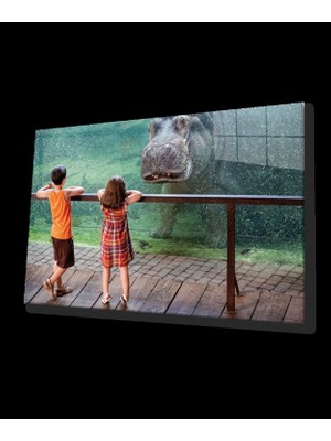 Hayvanat Bahçesi Cam Tablo Zoo