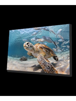 Su Kaplumbağası Balıklar Sualtı Cam Tablo