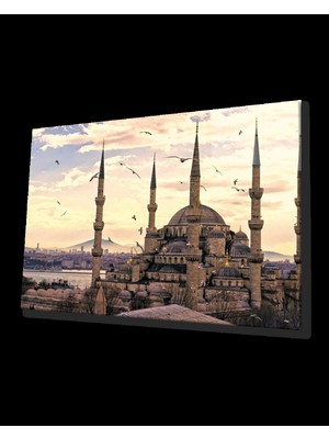 Istanbul Sultan Ahmet Camii ve Martılar Cam Tablo