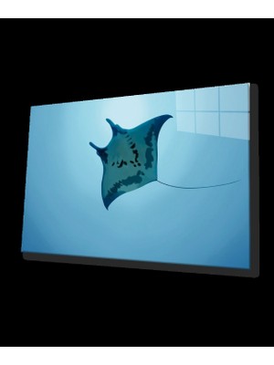 Sualtı Hayvanlar Cam Tablo Marine Life