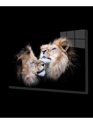 Aslan Cam Tablo