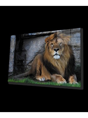 Aslan Cam Tablo
